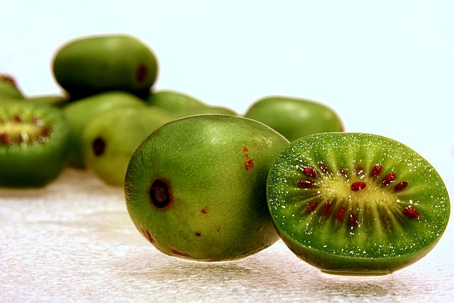 Kiwi baby (Actinidia arguta)